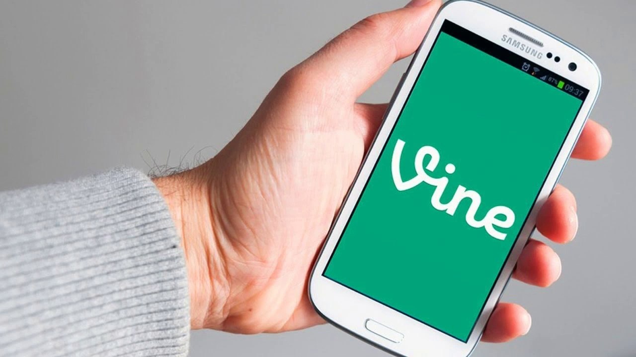 12 Things You Didn't Know About Vine