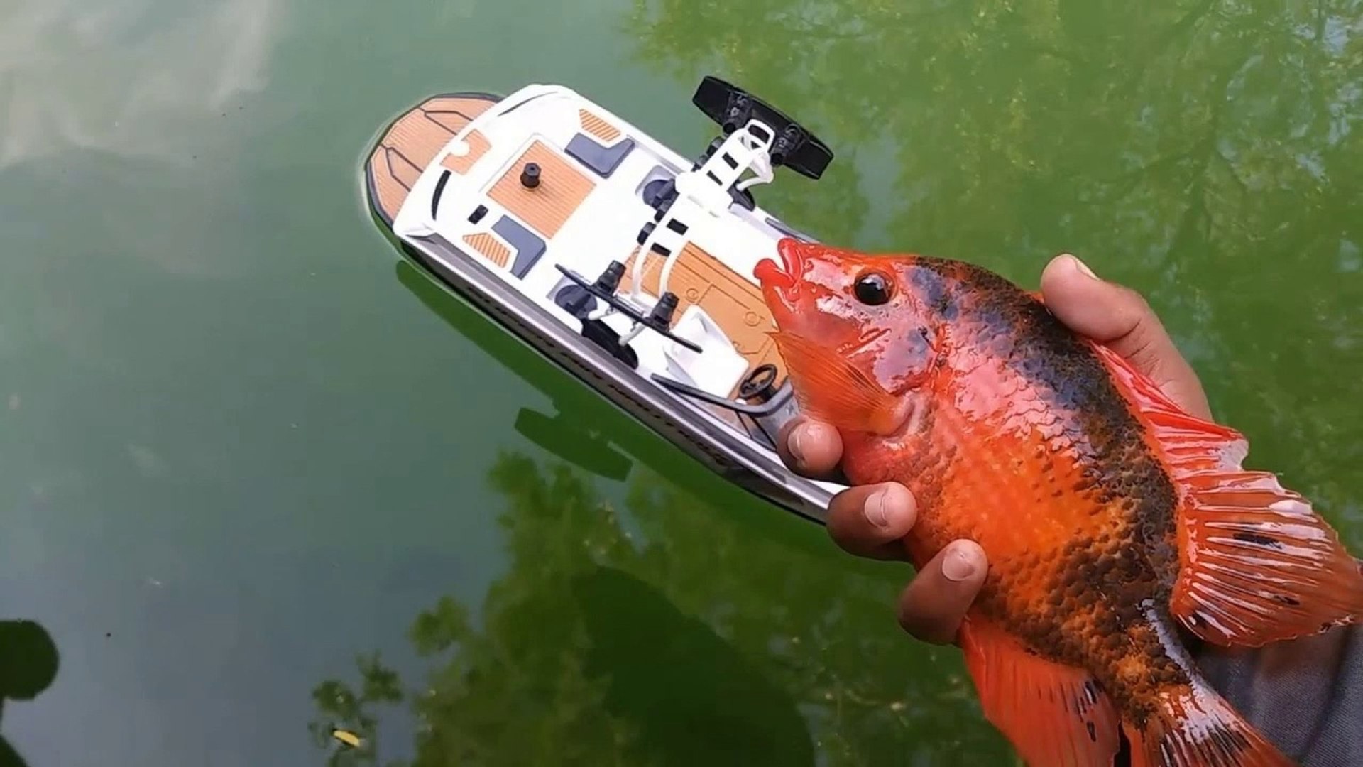 RC Boat CATCHES FISH!!! - video Dailymotion