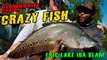 EPIC LAKE IDA SLAM!!! Catching Clownknife fish, Largemouth, Peacock Bass