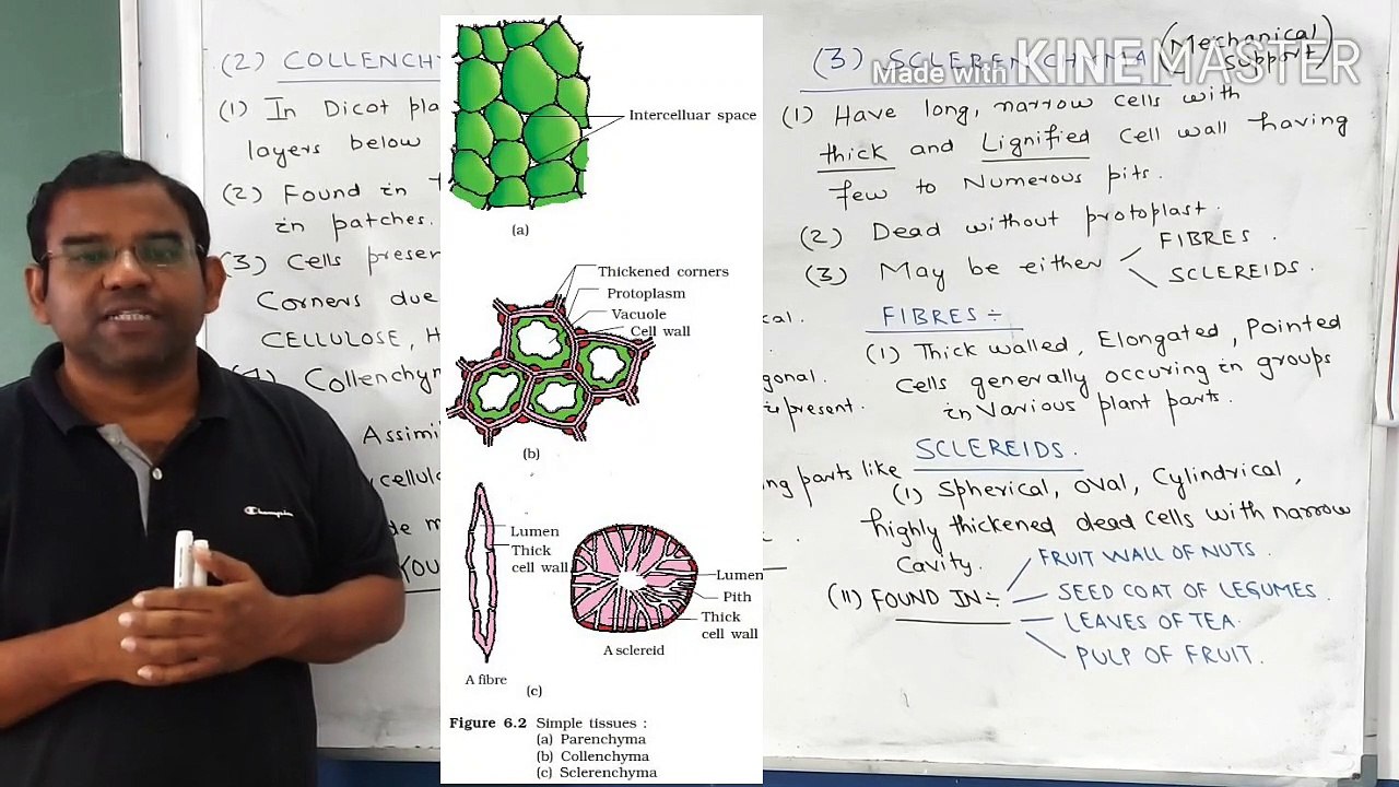 Bio-L14