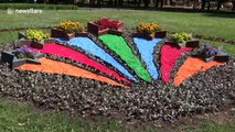 Stunning flower beds planted in Russia to celebrate Victory Day
