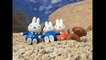 MIFFY the BUNNY Desert Outdoor Hike and PICNIC Adventure for Kids-