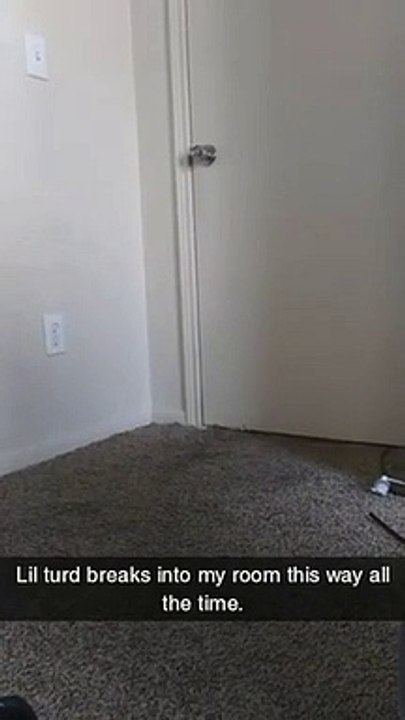 Ce chat dégonde la porte pour rentrer !