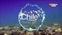 TV Educa Chile - Cierre de Transmisiones