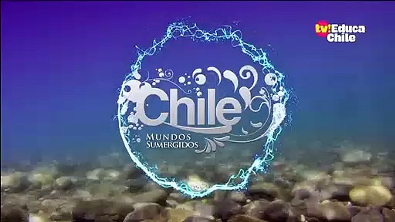 TV Educa Chile - Cierre de Transmisiones