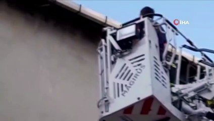 İpe dolanan ebabil kuşunun yardımına itfaiye ekipleri koştu