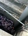 انقاذ طفل علق داخل منور لإحدى العمارات في إربد