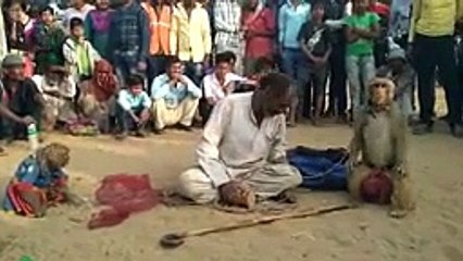 Haryanvi_Bandar_Bandriya_Ka_Khel_-_Funny_Video_|_Comedy_Video_From_My_Phone(144p)