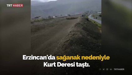 Erzincan'da sağanak nedeniyle dere taştı