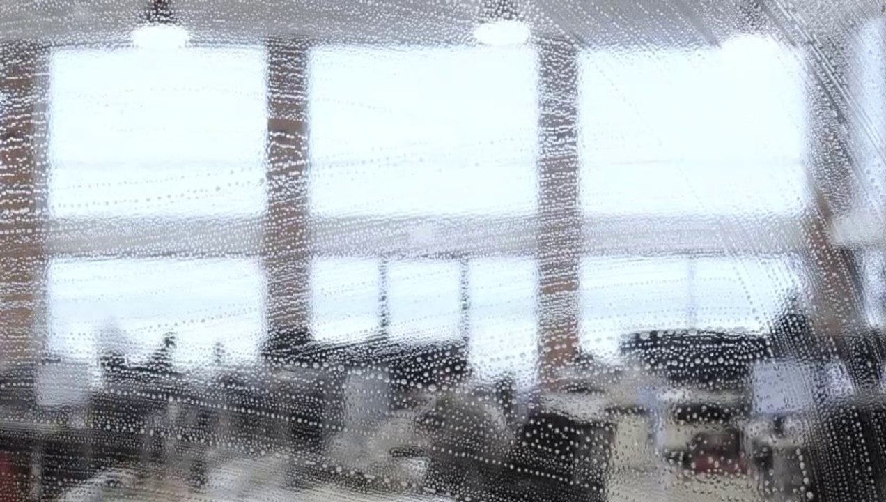 cleanforce