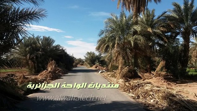 Adrar Bouda _ Algeria وادي المسعود ببلدية بودة ولاية أدرار 2014-الجزائر