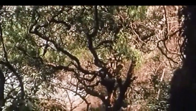 Dheeme Dheeme Gaon... — Kavita Krishnamurthy | Manoj Bajpai, Karisma Kapoor, Rekha | From Zubeidaa (Film 2001) | Hindi / Movie / Edition Prestige / Bollywood / Songs / Magic / Indian Collection / भाषा: हिंदी | बॉलीवुड की सबसे अच्छी