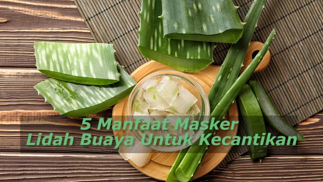 5 Manfaat Masker Lidah Buaya Untuk Kecantikan