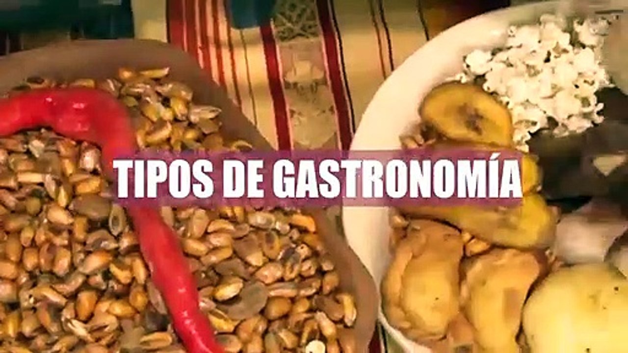 Conoce los tipos de gastronomía