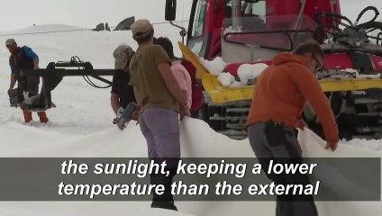 Glacier in northern Italy covered with tarpaulin to slow melting