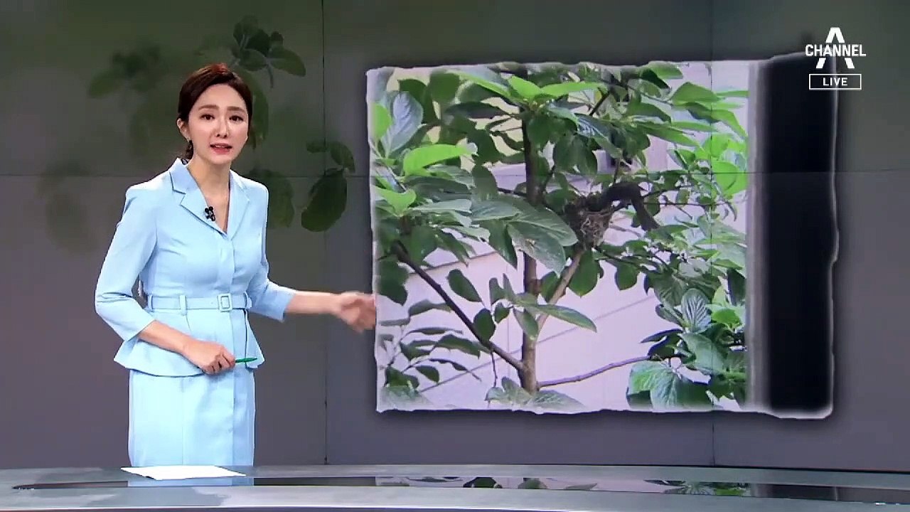 [뉴스A 클로징]모두를 위한 배려