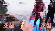 거북손부터 군소까지! 갯바위에 숨겨진 자연산 보물^^