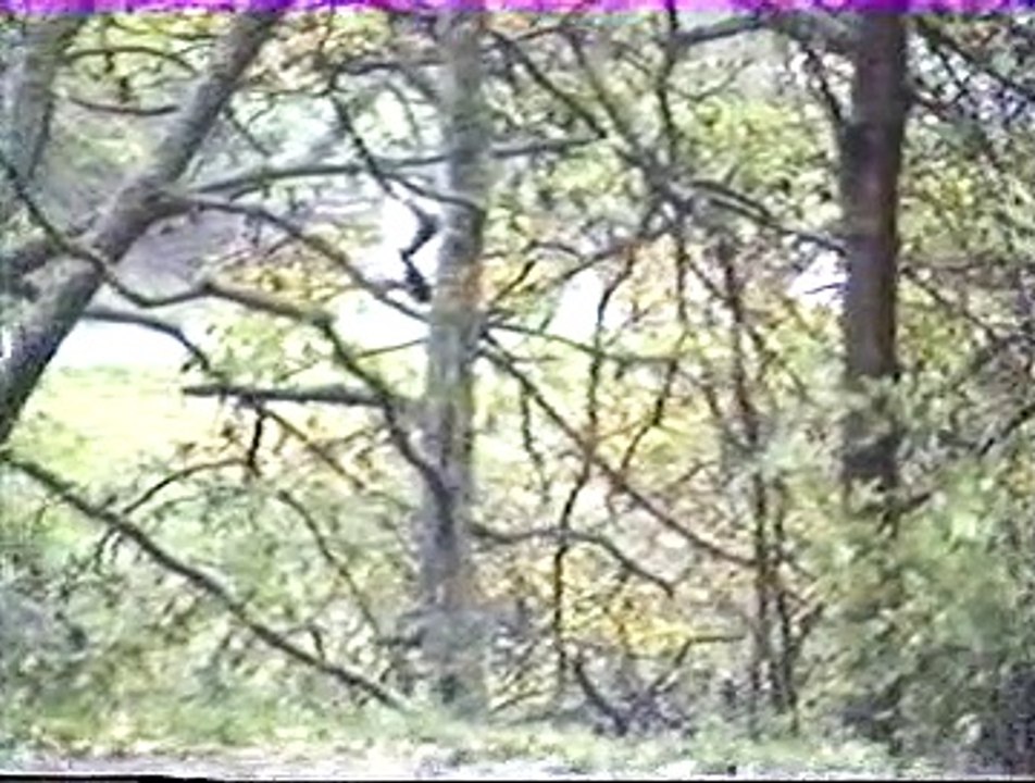 Rallye du MONTBRISONNAIS 1993. Vidéo n°2