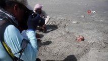 - Ateş çemberi güneş tutulması Pakistan’da izlendi- Pakistanlılar şifa için çocuklarını kuma gömdü