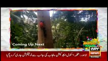 Amazing Dunya | ARYNews | 21 June 2020