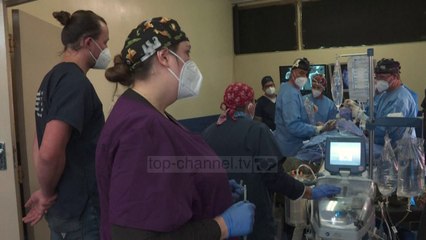 Top News - Afrikë e Jugut/ Gorilla në ndërhyrje kirurgjikale