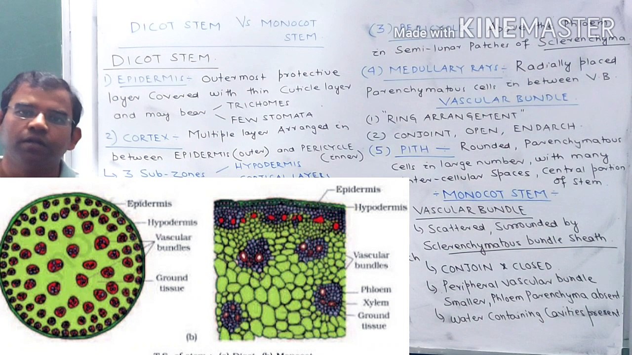 Bio-L15