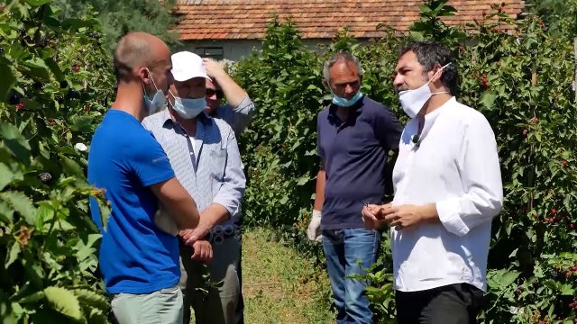 Ora News - Çuçi në fermën e manaferrave: Ligji për produktet plehëruese ndihmon fermerët