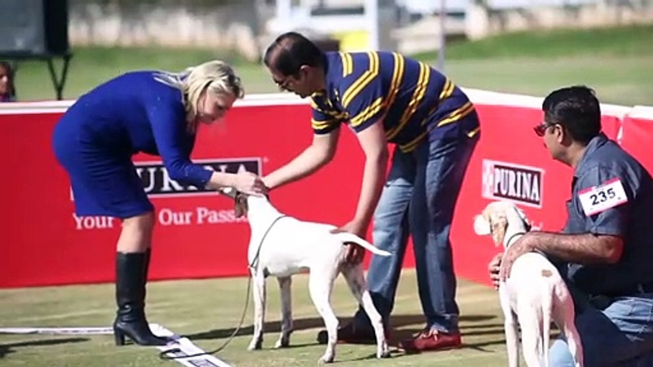 Event managed by Dennyevent&PR | Event Management | DD