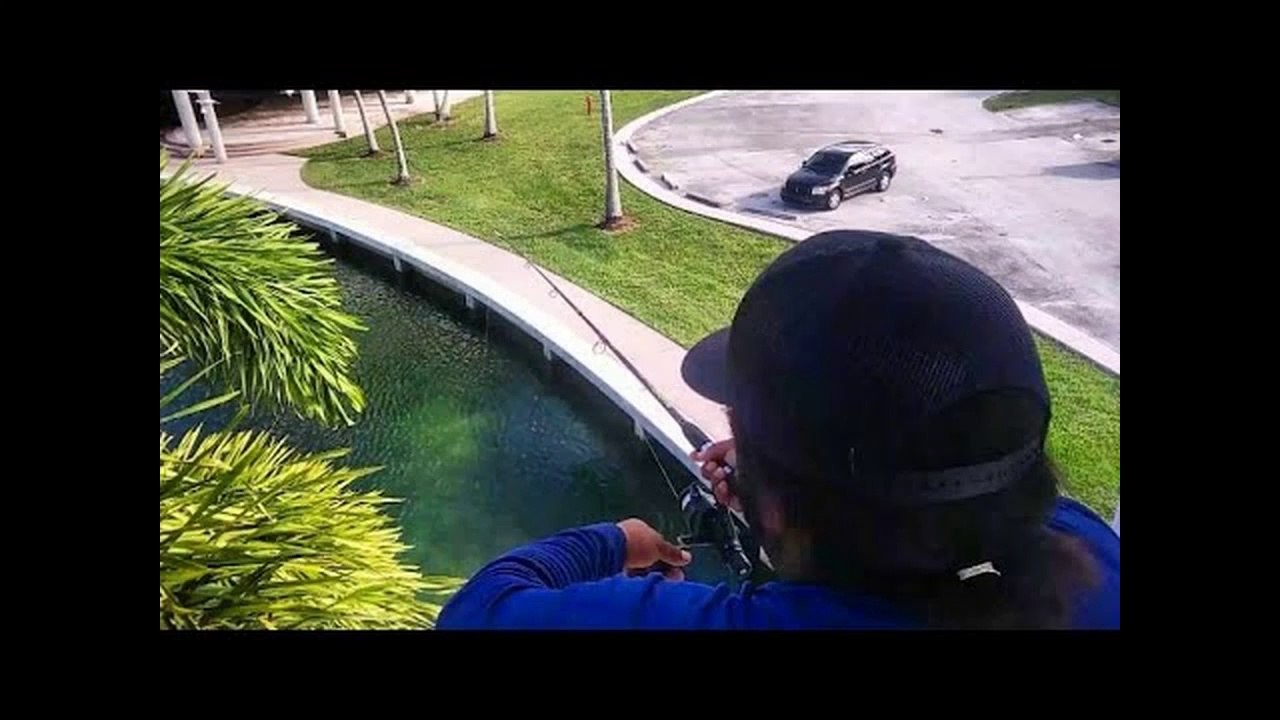Fishing from 2ND FLOOR Challenge!!!