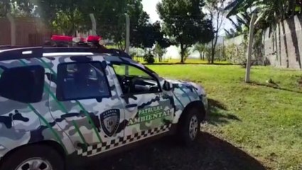 Pessoa que provocou incêndio ambiental no Bairro Country será multada pela Patrulha Ambiental da GM