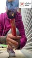 Brother sister prank war