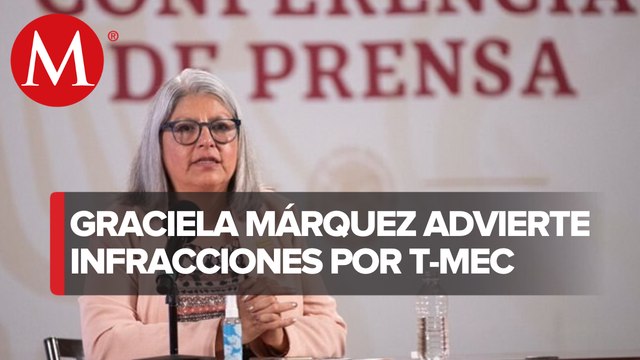 México debe armonizar leyes con T-MEC para no tener incumplimiento: Economía