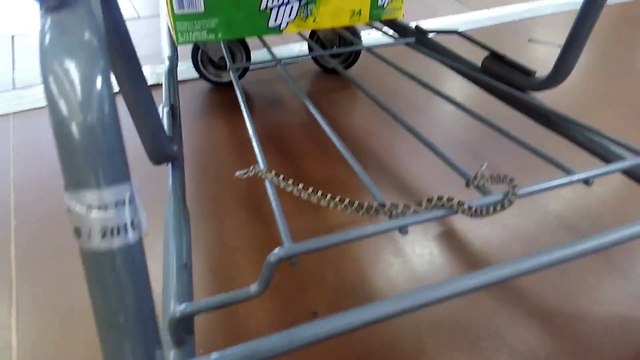 Ce petit serpent est accroché à un caddie au supermarché