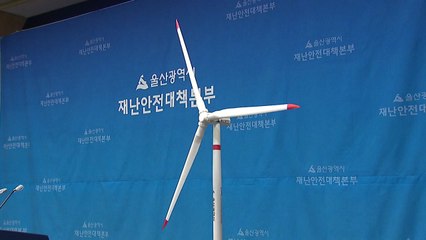 울산 앞바다에 대규모 풍력발전단지 조성 / YTN