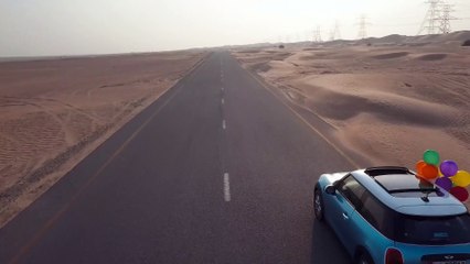 Pexels Videos 1572321