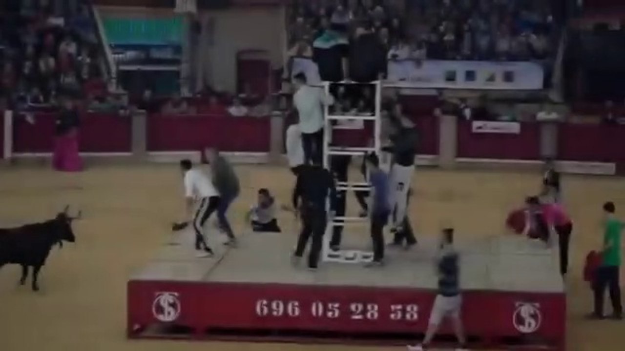 Dangerous Bull Fight Accidents CompilationLucky and Funny People Fail Video Clips