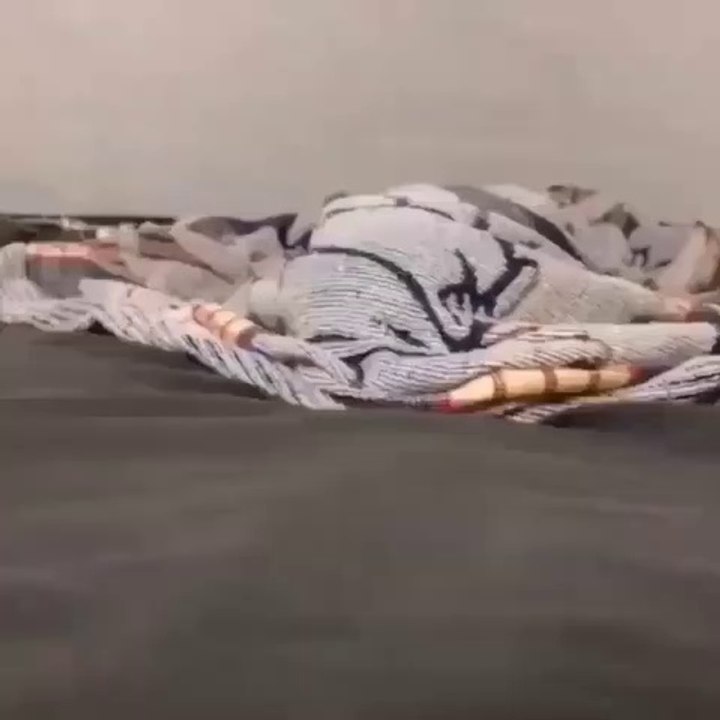 Naughty cat,funny cat videos,cute cat videos,animals,cats,pets,funny,funny cat videos,cute cat videos,animals,cats,pets,funny,cute,funny animals,cute animals,cat videos,dog videos,funny dog videos,funny cats,cats meowing,cats fighting,cats talking,cats an