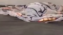 Naughty cat,funny cat videos,cute cat videos,animals,cats,pets,funny,funny cat videos,cute cat videos,animals,cats,pets,funny,cute,funny animals,cute animals,cat videos,dog videos,funny dog videos,funny cats,cats meowing,cats fighting,cats talking,cats an