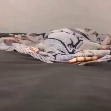 Naughty cat,funny cat videos,cute cat videos,animals,cats,pets,funny,funny cat videos,cute cat videos,animals,cats,pets,funny,cute,funny animals,cute animals,cat videos,dog videos,funny dog videos,funny cats,cats meowing,cats fighting,cats talking,cats an