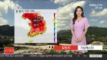 [날씨] 더위 절정 '서울 35도'…중부·경북 폭염 특보