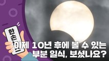 [15초 뉴스] 일요일에 펼쳐졌던 장관, 놓치셨다면... / YTN