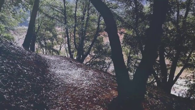 No Longer Slaves - Jonathan David