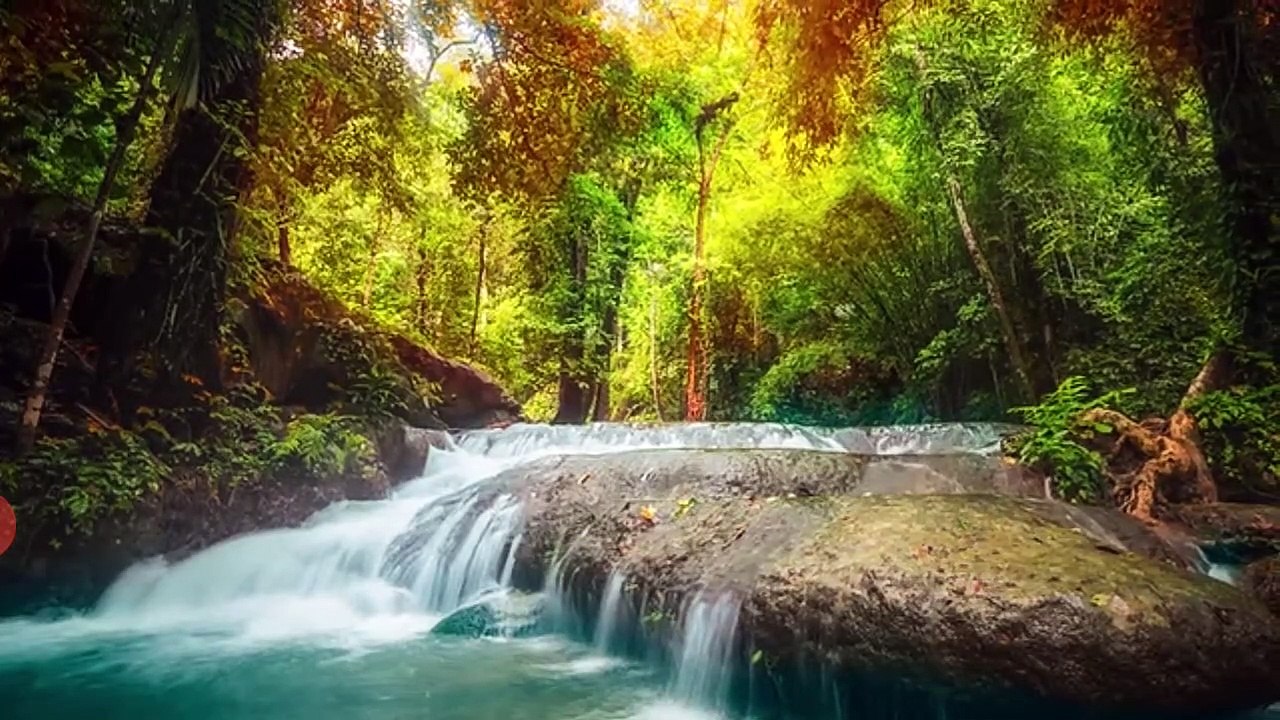 Meditation music: Relaxation and stress reliever music , healing sounds