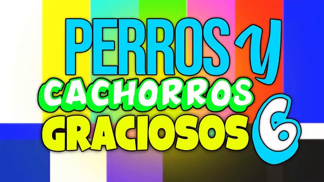 PERROS Y CACHORROS GRACIOSOS #6