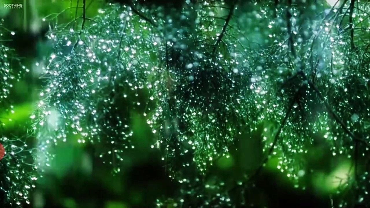 Rain sound with piano : Best for meditation Spa music, Reliec music ,relaxing music