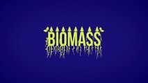 Biomass - simple technology illustration