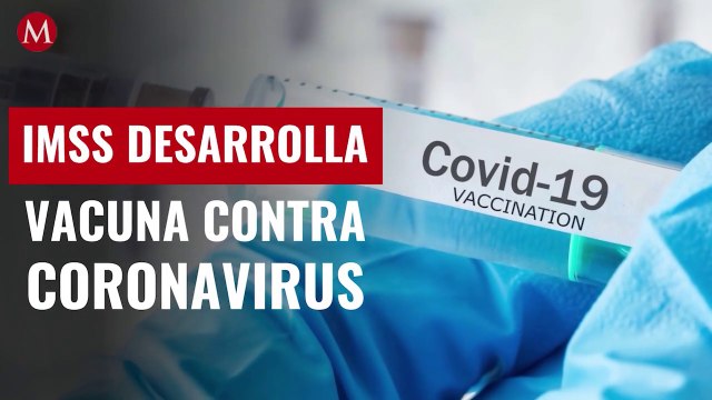 IMSS desarrolla vacuna contra coronavirus a partir de anticuerpos de pacientes