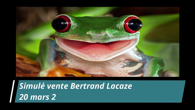 VENTE PRESTATIONS DE SERVICES EN VISIO