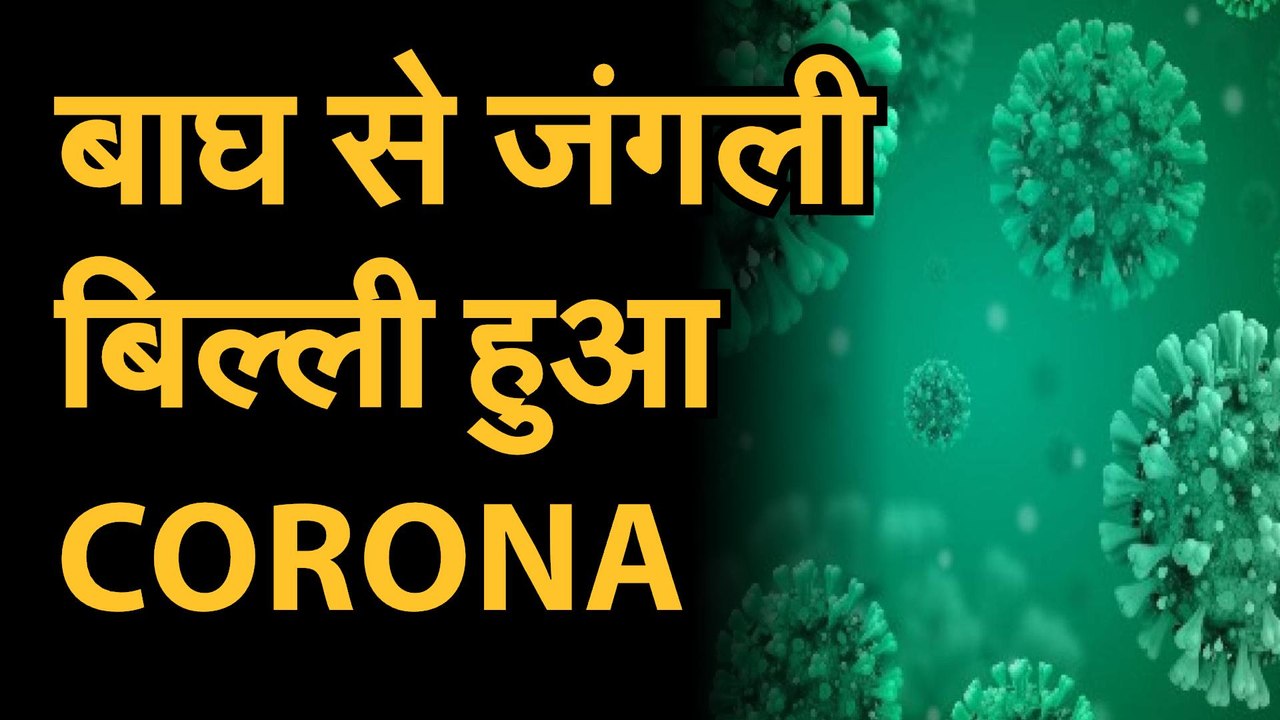 coronavirus : covid19latesnews: कोरोना कमजोर पड...