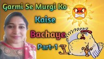 Garmi se Murgi ko kaise Bachaye | Poultry farming in Summer | गर्मी में कुक्कुट पालन